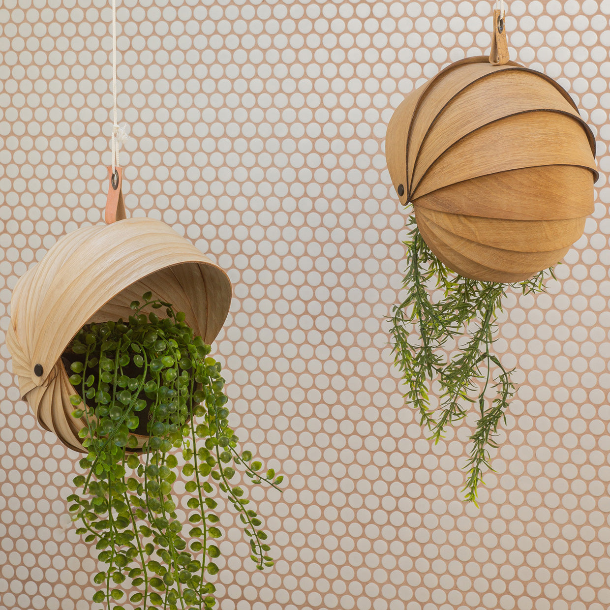 Hanging planter