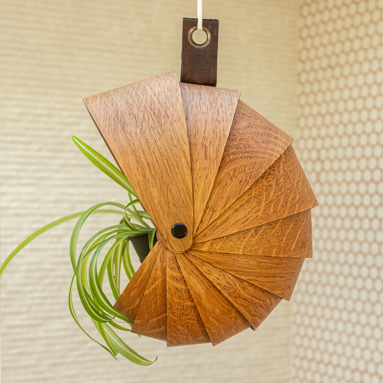 Make A Hanging Planter · 2.5hrs