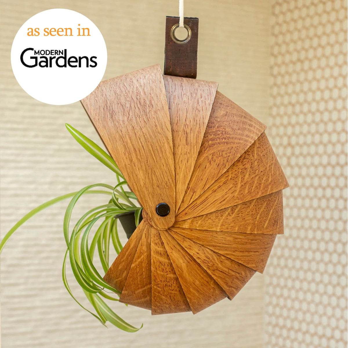 Hanging plant pot for trailing plants