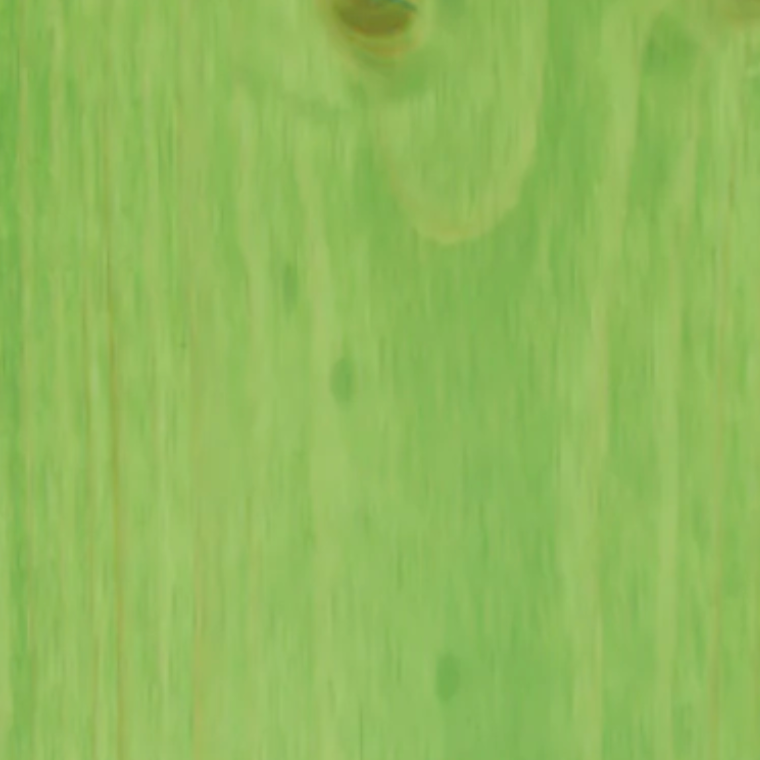 green bird feeder