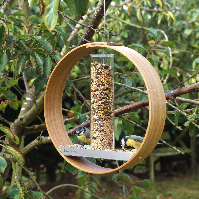 Unusual bird feeder. - LayerTree.