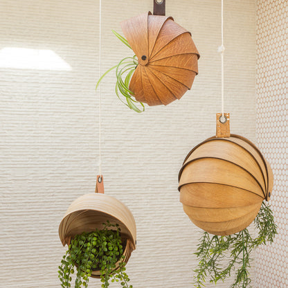 Hanging planter