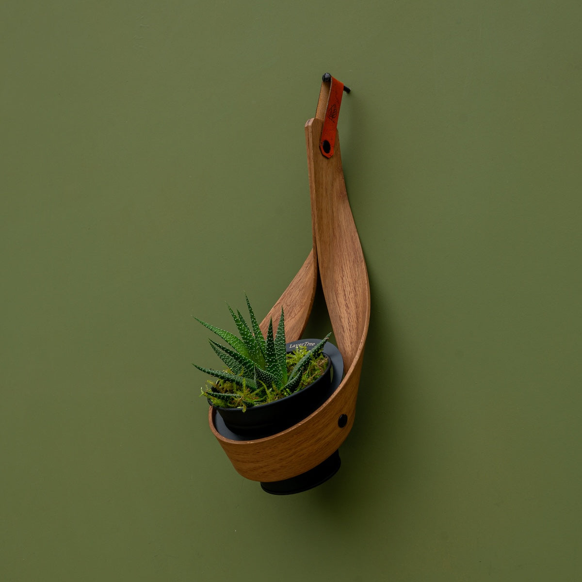 Wall Planter