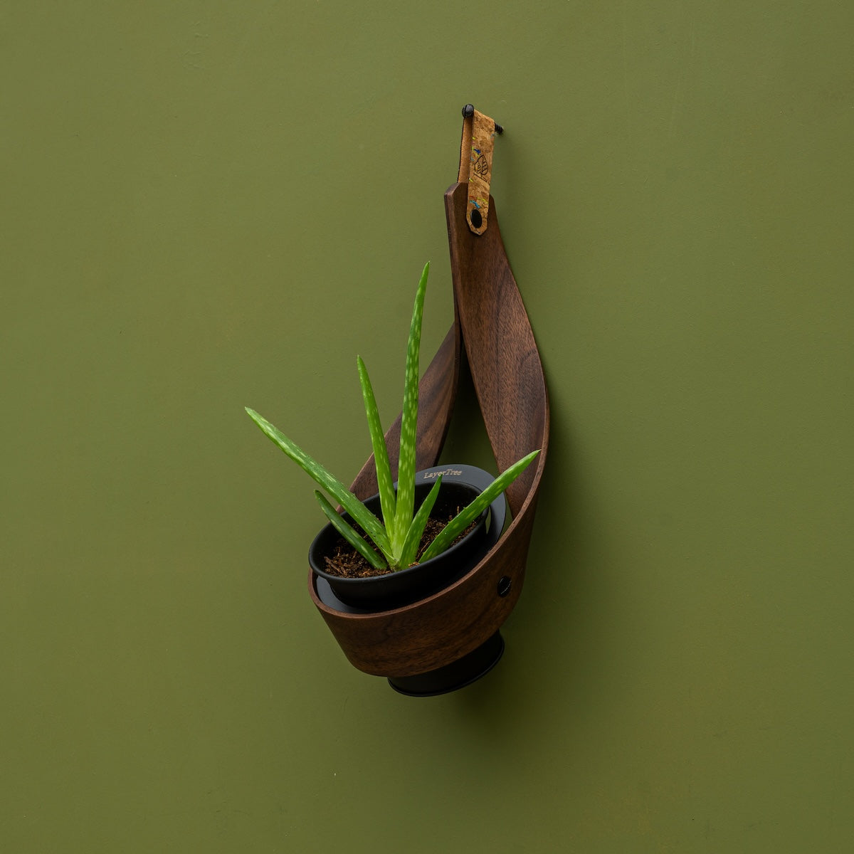 Wall Planter