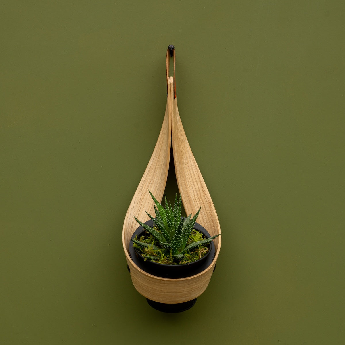 Wall Planter