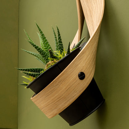 Wall Planter