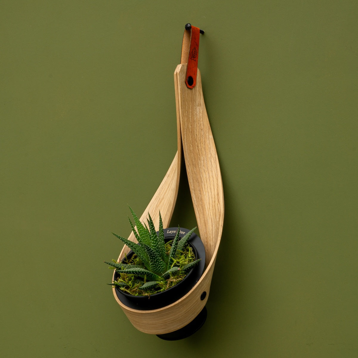 Wall Planter