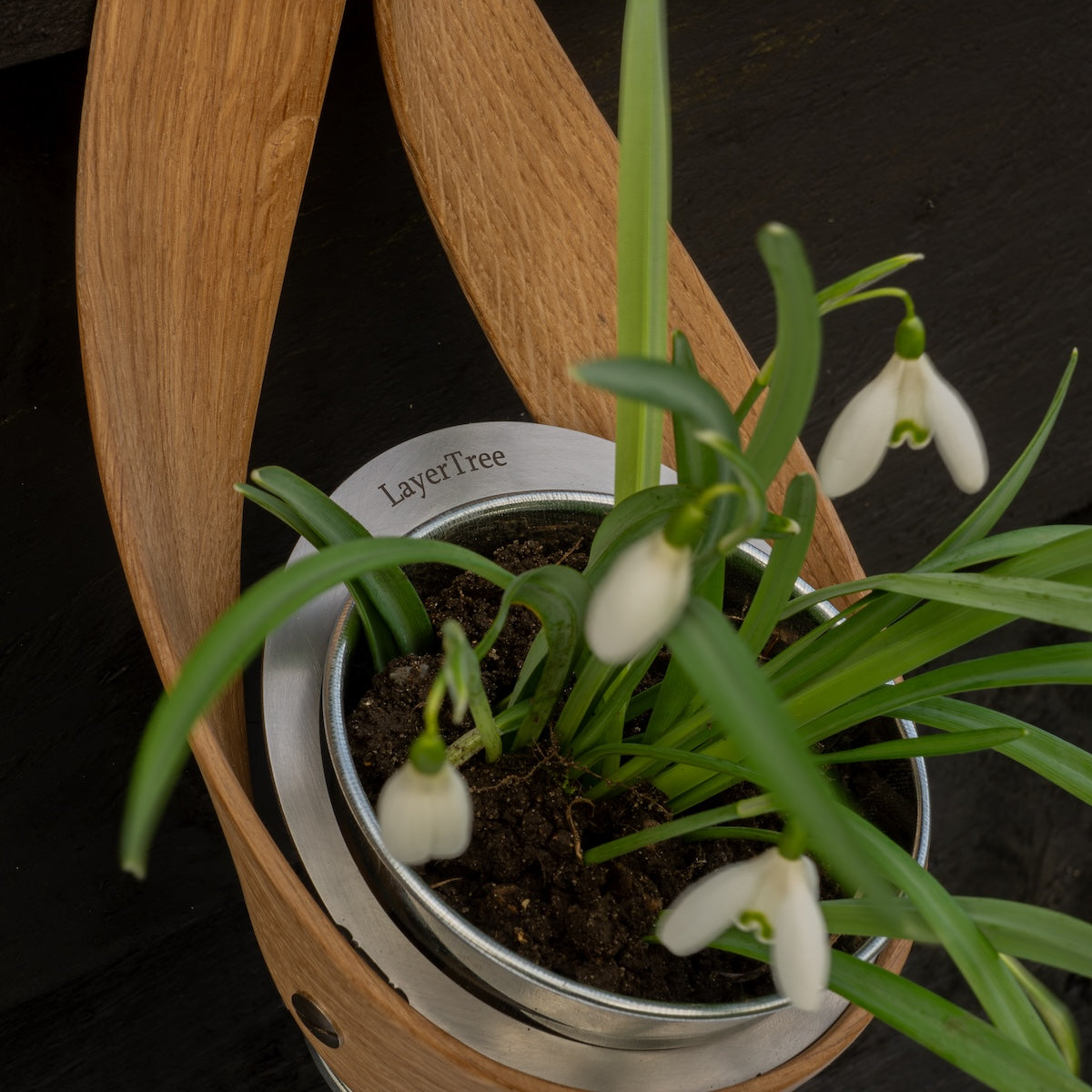 Garden pots and planters