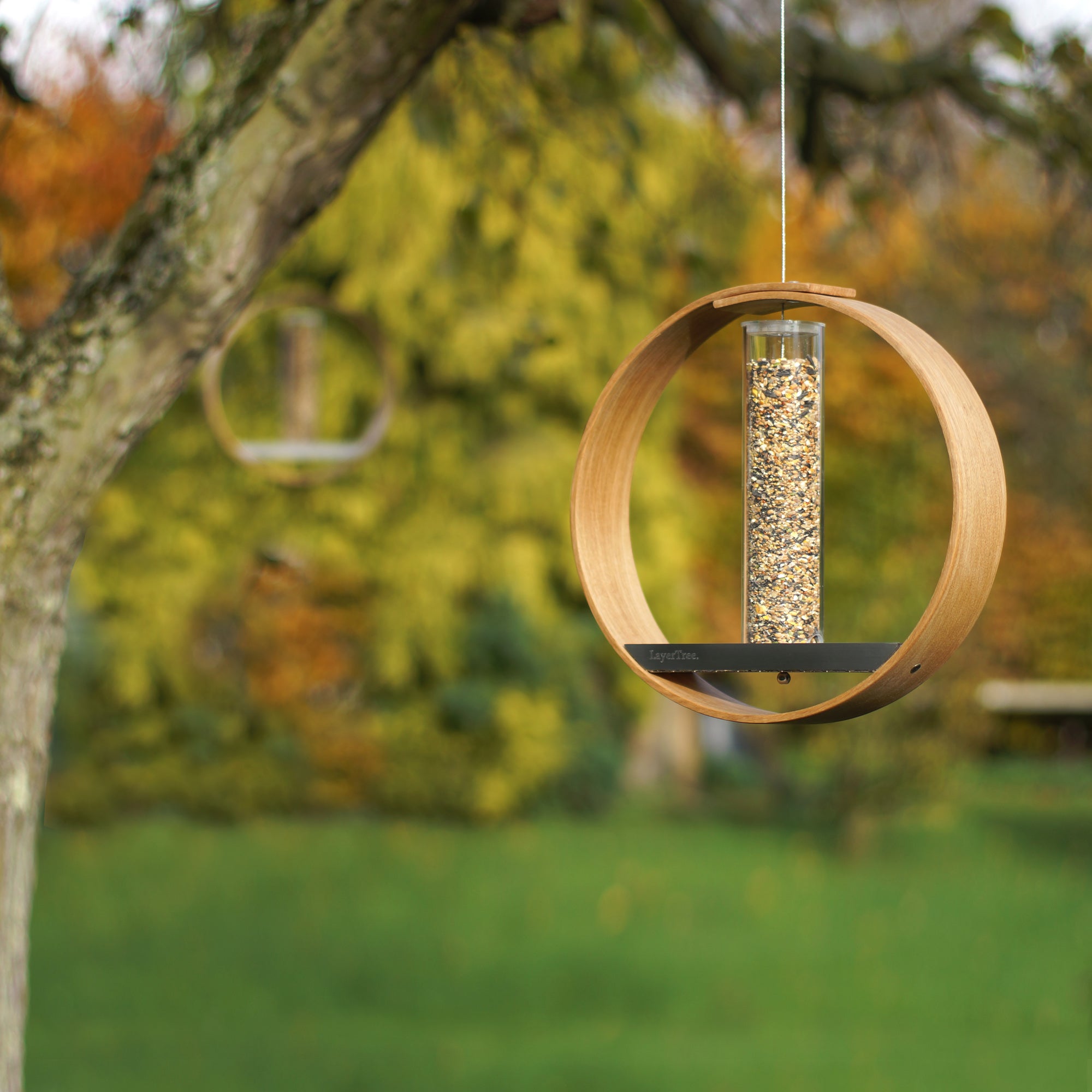 Hanging bird feeder. LayerTree.