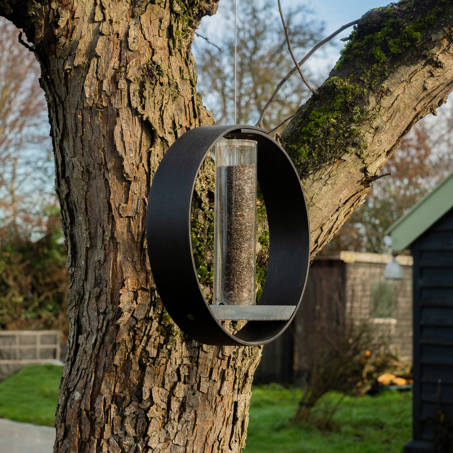 hanging bird feeder