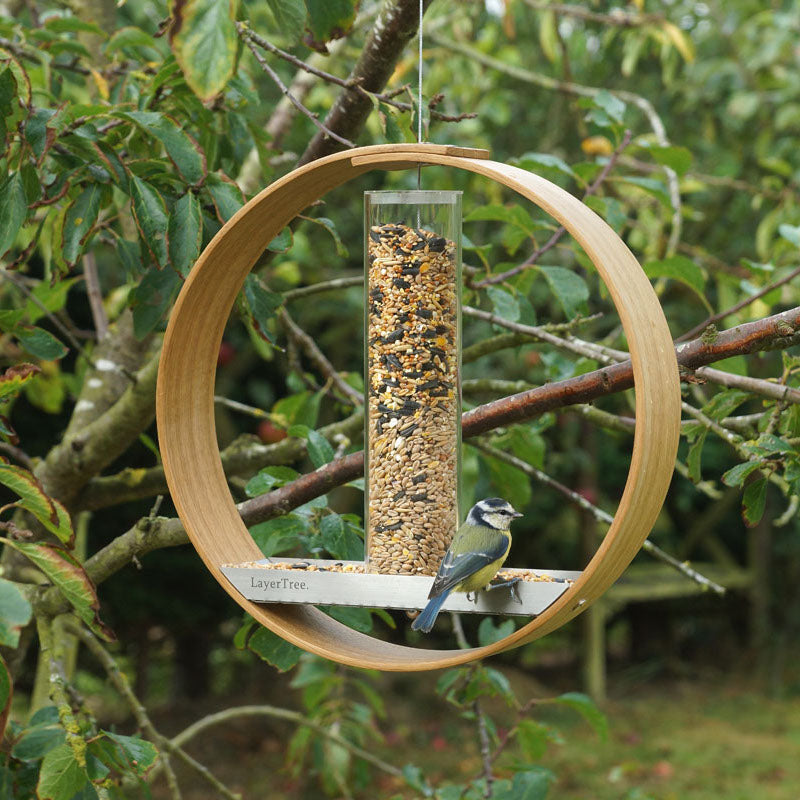 Wild bird seed feeder. - LayerTree.