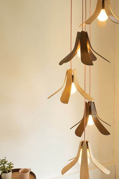 Tom Raffield Pendant Light