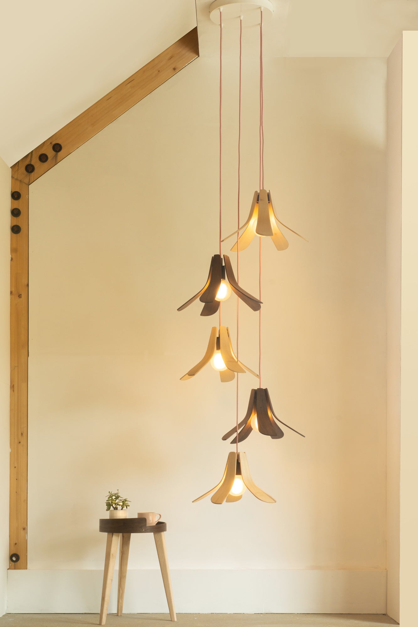 Tom Raffield Statement Lighting