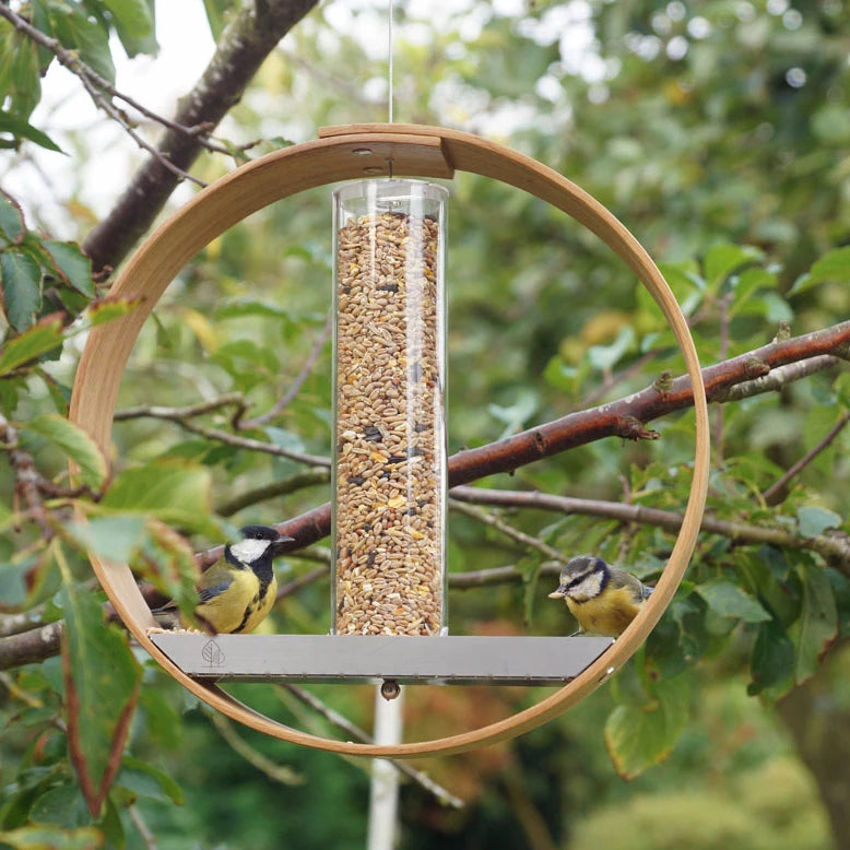 Best bird feeders uk. - LayerTree.
